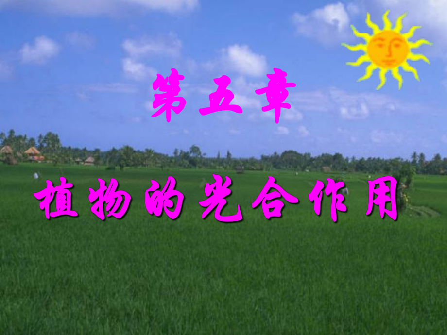 第五章 光合作用 植物的能量轉換與生命基石