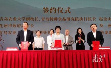 如何擦亮“中國化橘紅之鄉”金字招牌？這場發布會告訴你